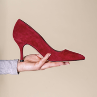 Gutsy Garnet Suede Pump
